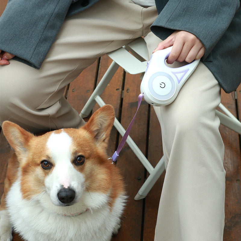 Retractable Dog Leash with Collar and Spotlight